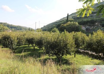 Foto 18 - Terreno agricolo Strada Del Borago, Verona - foto 18