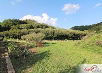 Foto 20 - Terreno agricolo Strada Del Borago, Verona - foto 20