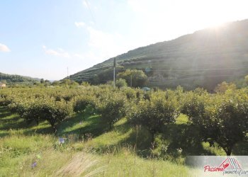 Foto 23 - Terreno agricolo Strada Del Borago, Verona - foto 23