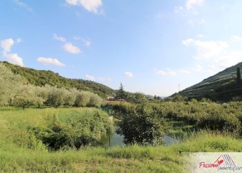 Foto 24 - Terreno agricolo Strada Del Borago, Verona - foto 24