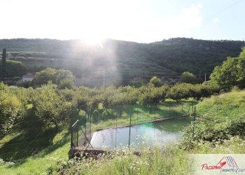 Foto 25 - Terreno agricolo Strada Del Borago, Verona - foto 25