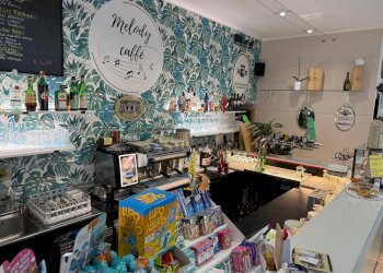 Foto 5 - Bar Tavola Calda - Fredda Bovolone - foto 5