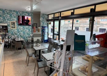 Foto 7 - Bar Tavola Calda - Fredda Bovolone - foto 7