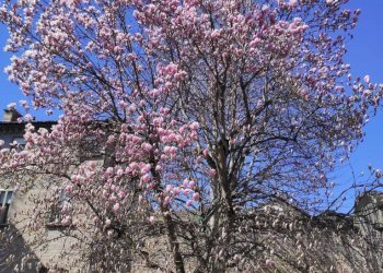 Foto 13 - Appartamento Via Cosme' Tura, Ferrara - foto 13