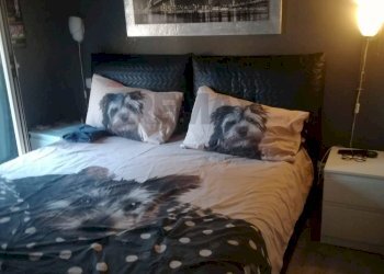 Camera / camera da letto - Bilocale Via Rosario Nicosia
 
72, San Giovanni la Punta - foto 7