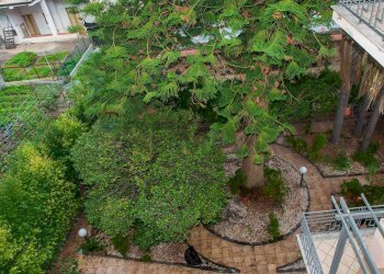 Giardino - Appartamento Piazza VI Novembre
 
44, Mascali - foto 37