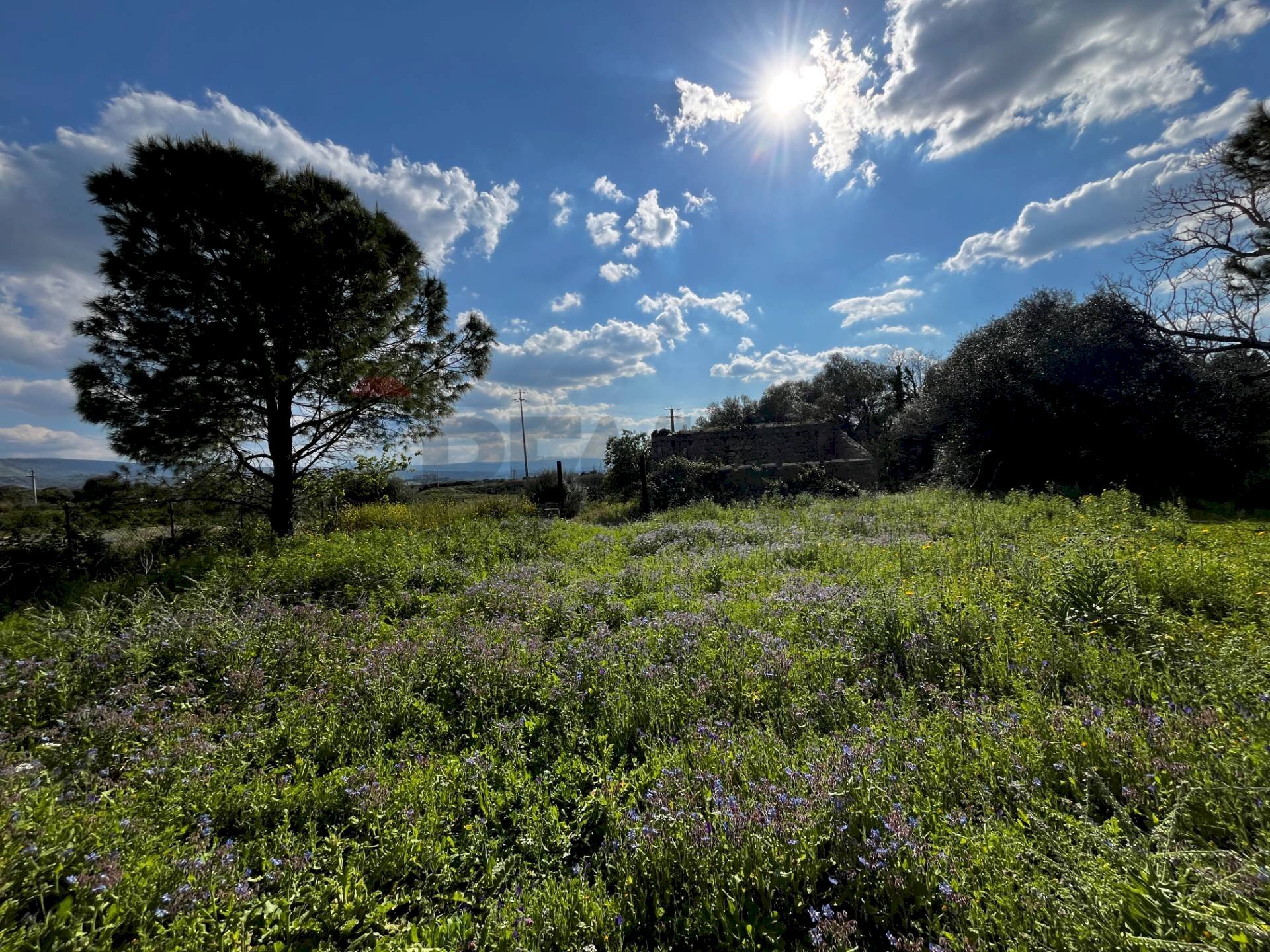 Vista delle montagne - Terreno agricolo SS 194
 
13, Lentini - foto 1