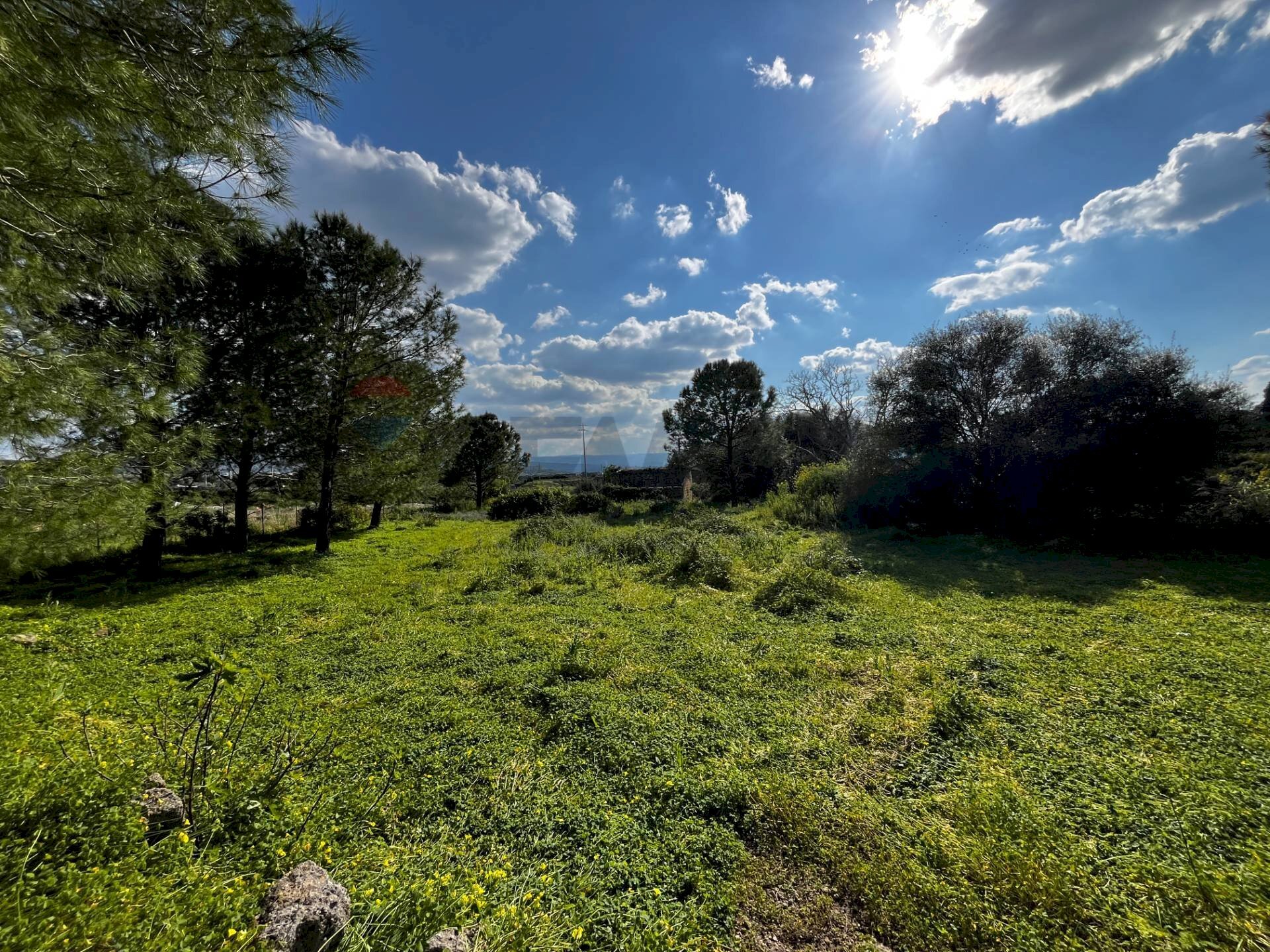 Giardino - Terreno agricolo SS 194
13, Lentini - foto 2
