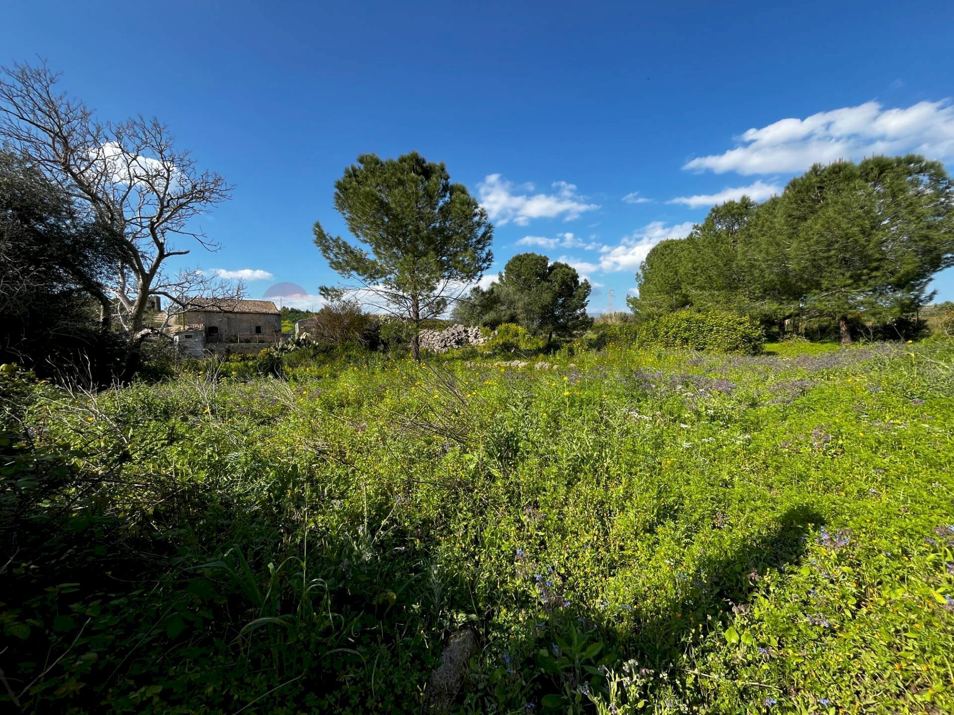 Giardino - Terreno agricolo SS 194
13, Lentini - foto 3