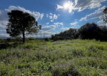 Vista delle montagne - Agricultural land SS 194
 
13, Lentini - photo 1