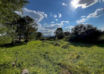 Giardino - Agricultural land SS 194
 
13, Lentini - photo 2