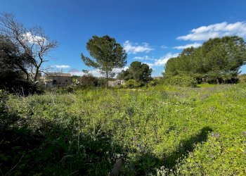 Giardino - Agricultural land SS 194
 
13, Lentini - photo 3