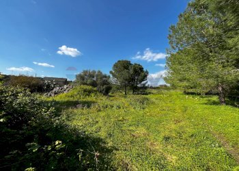 Giardino - Agricultural land SS 194
 
13, Lentini - photo 4