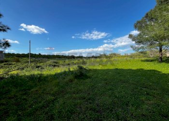 Giardino - Agricultural land SS 194
 
13, Lentini - photo 5