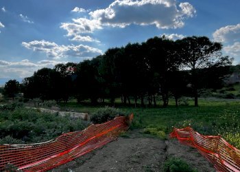 Giardino - Agricultural land SS 194
 
13, Lentini - photo 8