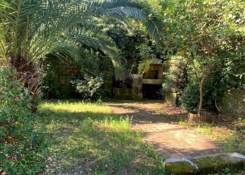 Giardino - Bilocale Via Suvereto
337, Roma - foto 36
