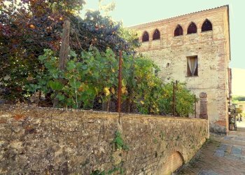 Casa all\'aperto - Casa indipendente Marsciano - foto 53