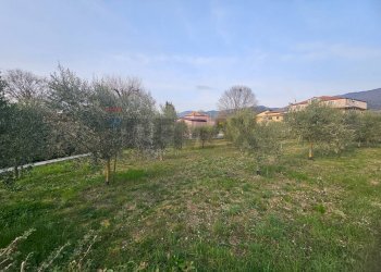 Giardino - Villa contrada fossa cerasa
 
snc, Padula - foto 33