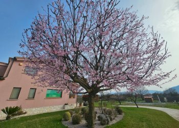 Casa all\'aperto - Villa contrada fossa cerasa
 
snc, Padula - foto 38