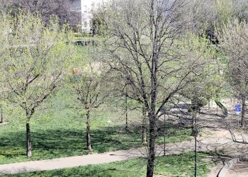 Edificio all\'aperto - Three-room apartment Via Trinita'
 
3, Torino - photo 6