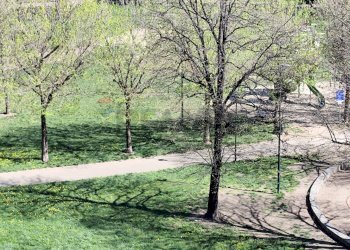 Giardino - Three-room apartment Via Trinita'
 
3, Torino - photo 8