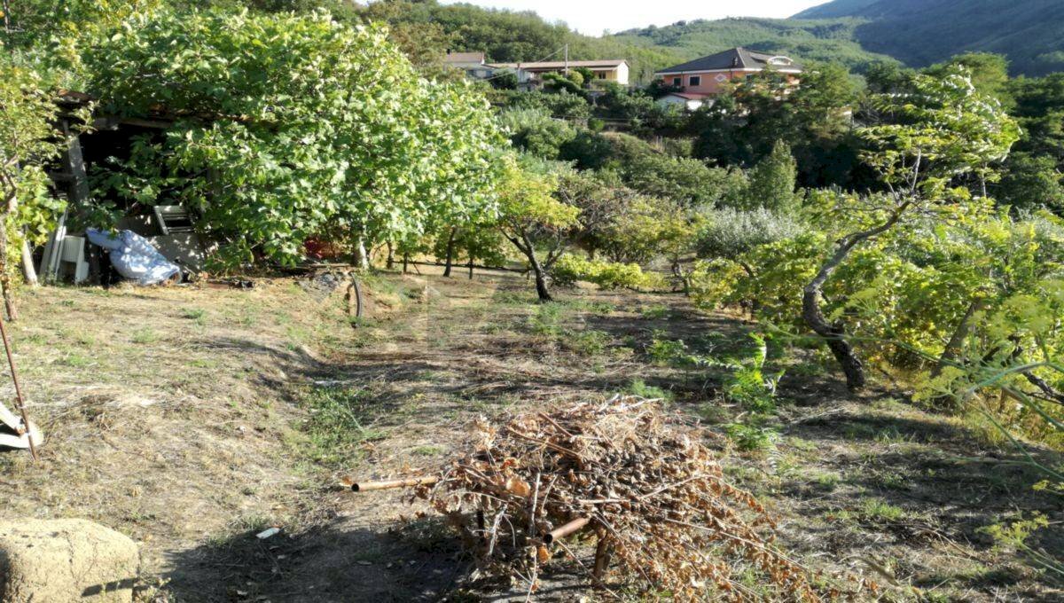 Vista delle montagne - Independent house via san francesco, San Marco Argentano - photo 3