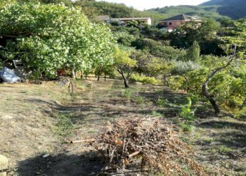 Vista delle montagne - Independent house via san francesco, San Marco Argentano - photo 3