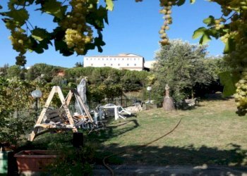 Giardino - Independent house via san francesco, San Marco Argentano - photo 16