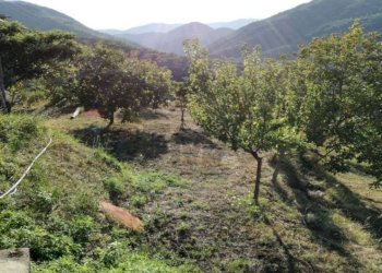 Vista delle montagne - Independent house via san francesco, San Marco Argentano - photo 17