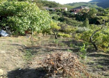 Vista delle montagne - Independent house via san francesco, San Marco Argentano - photo 19