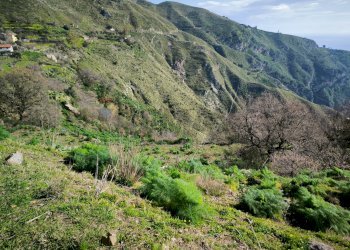 Vista delle montagne - Agricultural land Contrada Francese, Castelmola - photo 11