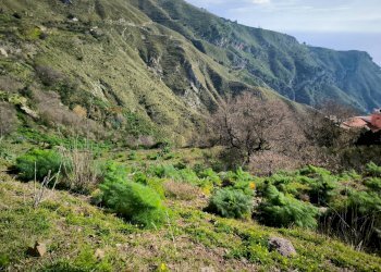 Vista delle montagne - Agricultural land Contrada Francese, Castelmola - photo 13