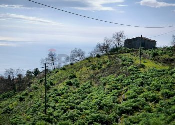 Vista delle montagne - Agricultural land Contrada Francese, Castelmola - photo 15
