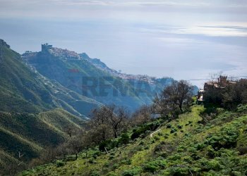 Vista delle montagne - Agricultural land Contrada Francese, Castelmola - photo 18