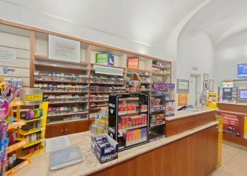 Dispensa di stoccaggio - Commercial Activity Corso Federico II, L'Aquila - photo 4