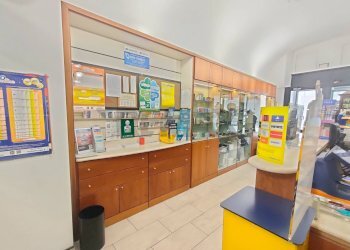 Cucina - Commercial Activity Corso Federico II, L'Aquila - photo 5