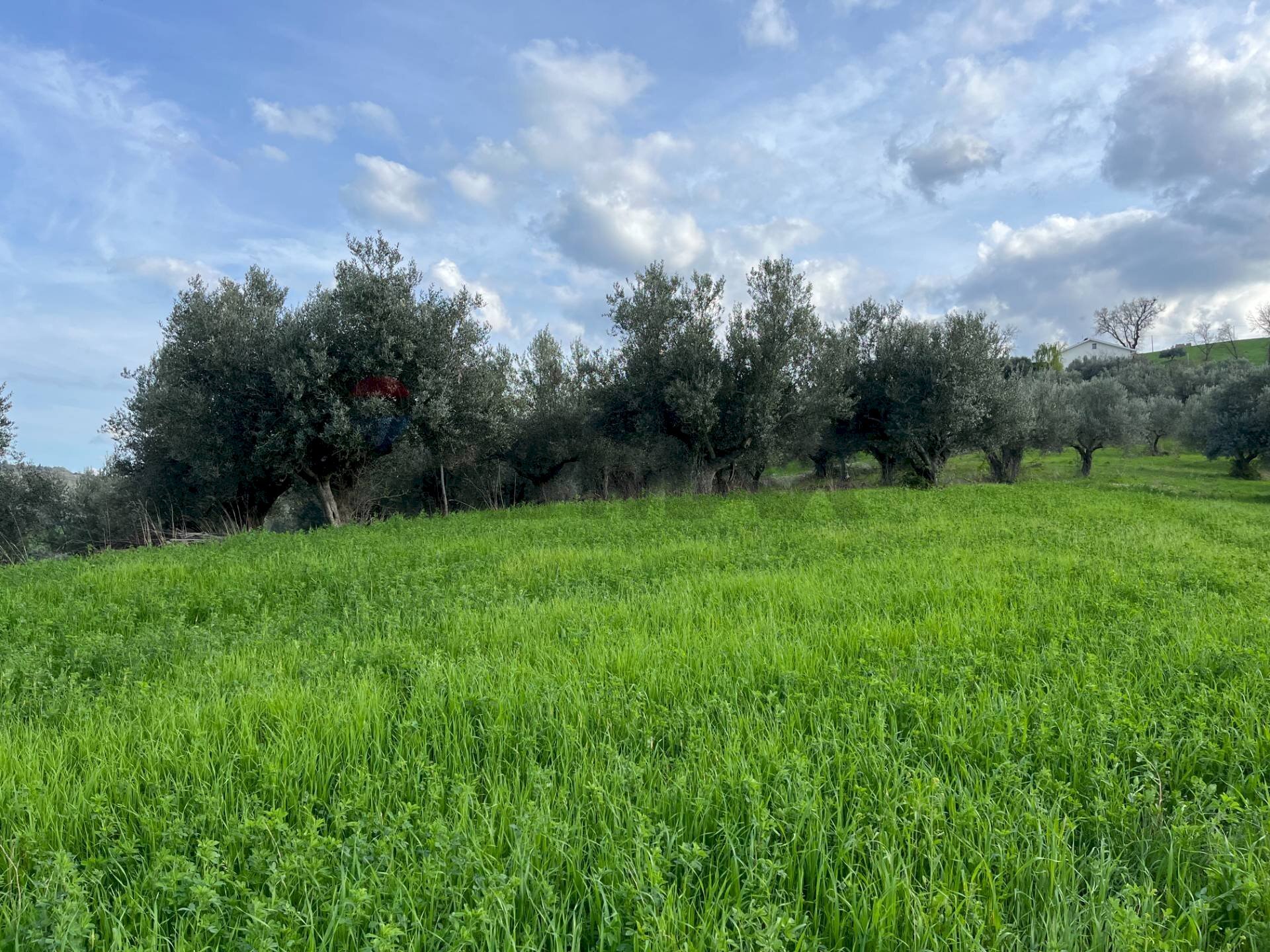 Giardino - Terreno agricolo Via Parco Nazionale d'Abruzzo, Manoppello - foto 1