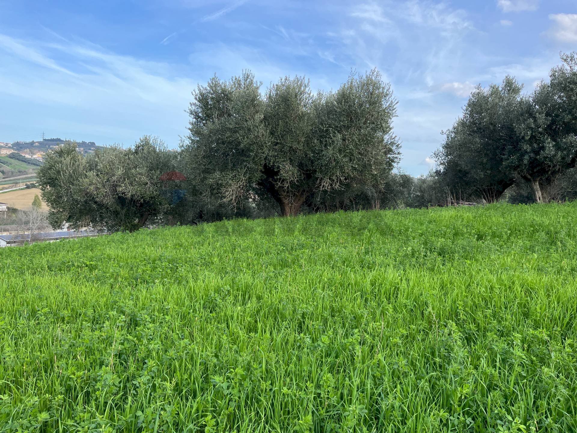 Giardino - Terreno agricolo Via Parco Nazionale d'Abruzzo, Manoppello - foto 2