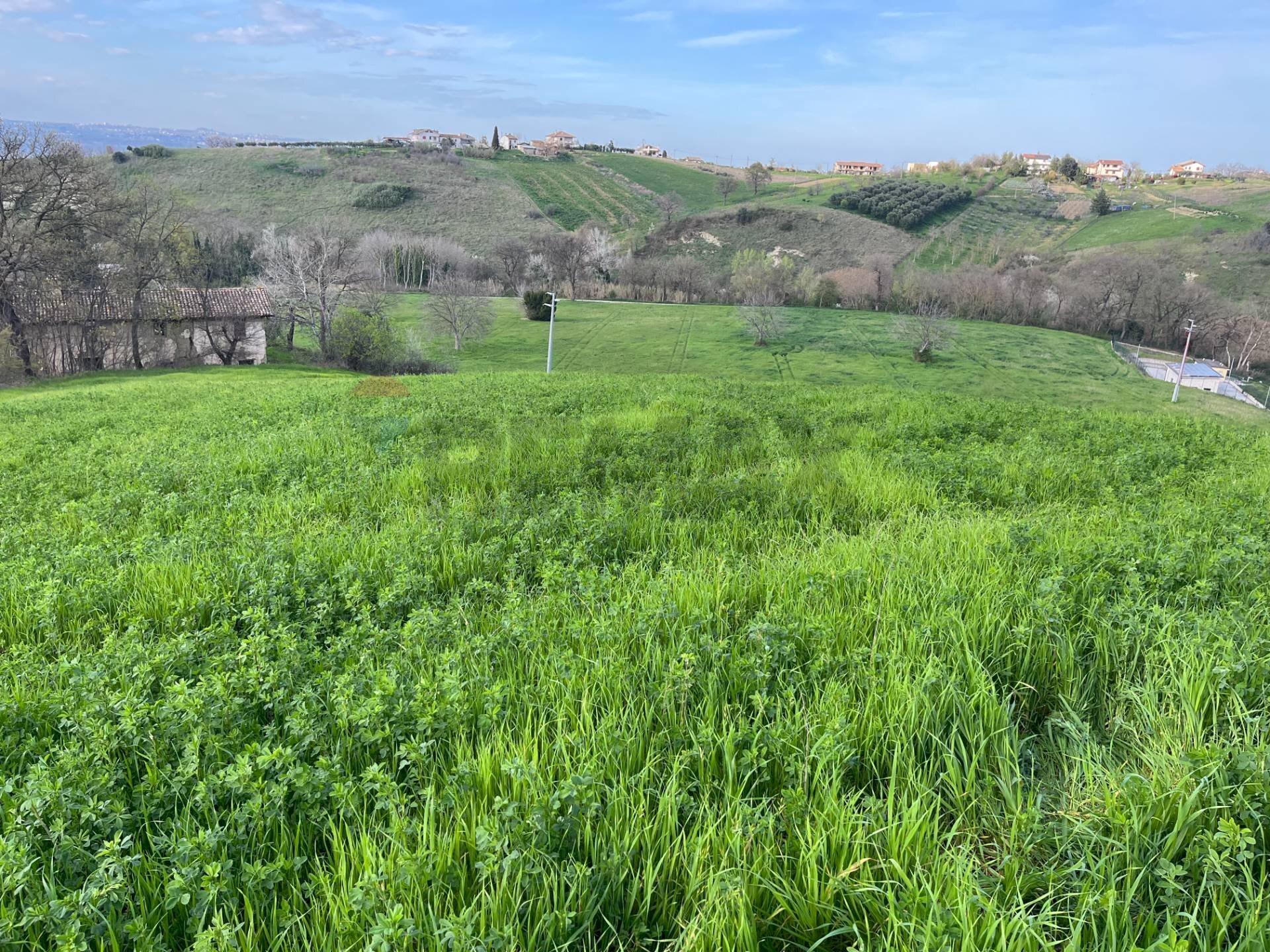 Vista delle montagne - Terreno agricolo Via Parco Nazionale d'Abruzzo, Manoppello - foto 3