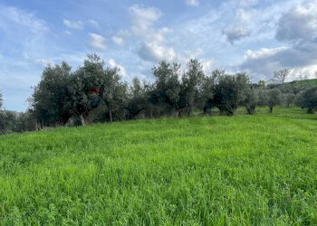 Giardino - Terreno agricolo Via Parco Nazionale d'Abruzzo, Manoppello - foto 1