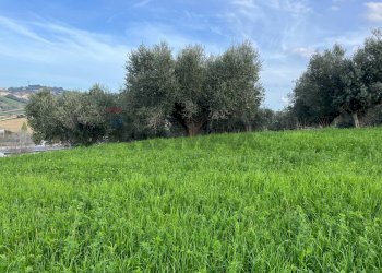 Giardino - Terreno agricolo Via Parco Nazionale d'Abruzzo, Manoppello - foto 2