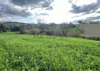 Giardino - Terreno agricolo Via Parco Nazionale d'Abruzzo, Manoppello - foto 5