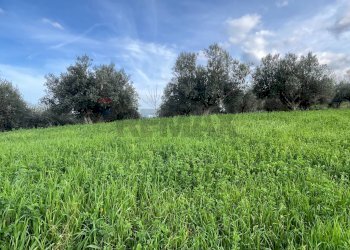 Giardino - Terreno agricolo Via Parco Nazionale d'Abruzzo, Manoppello - foto 6