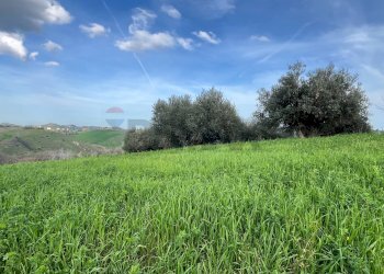 Giardino - Terreno agricolo Via Parco Nazionale d'Abruzzo, Manoppello - foto 7