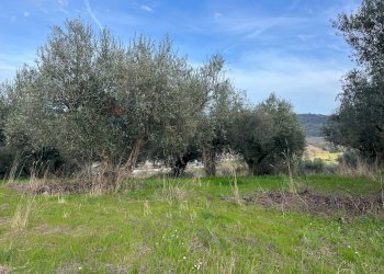 Giardino - Terreno agricolo Via Parco Nazionale d'Abruzzo, Manoppello - foto 9
