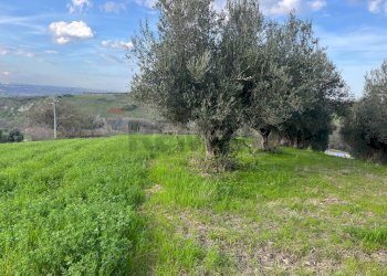 Giardino - Terreno agricolo Via Parco Nazionale d'Abruzzo, Manoppello - foto 10