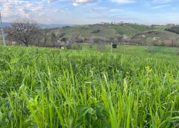 Vista delle montagne - Terreno agricolo Via Parco Nazionale d'Abruzzo, Manoppello - foto 13