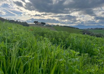 Vista delle montagne - Terreno agricolo Via Parco Nazionale d'Abruzzo, Manoppello - foto 14