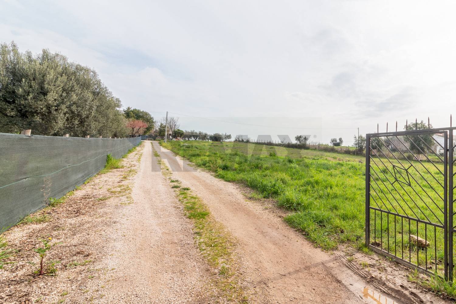 Giardino - Semi-detached house str.Del Corbezzolo
 
7, Montalto di Castro - photo 3