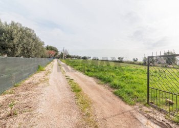 Giardino - Semi-detached house str.Del Corbezzolo
7, Montalto di Castro - photo 3